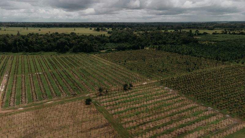 AgroSierra Levante 11