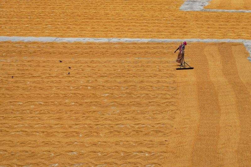 AgroSierra Levante 5