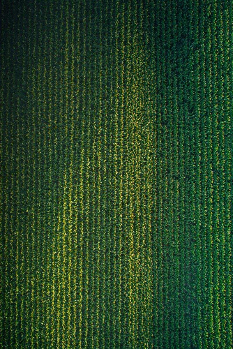 AgroSierra Levante
